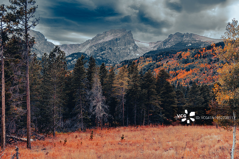 美国科罗拉多州埃斯蒂斯公园的秋季森林美景图片素材