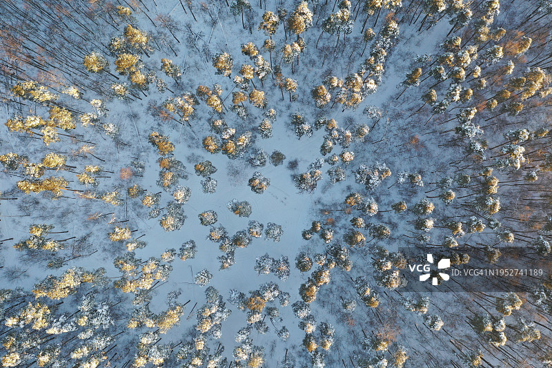 白雪覆盖的陆地图片素材