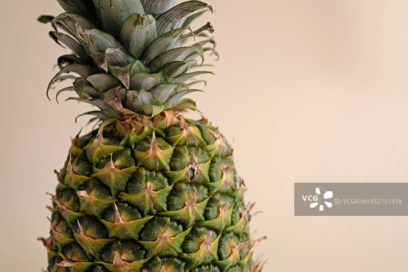 菠萝特写图片素材