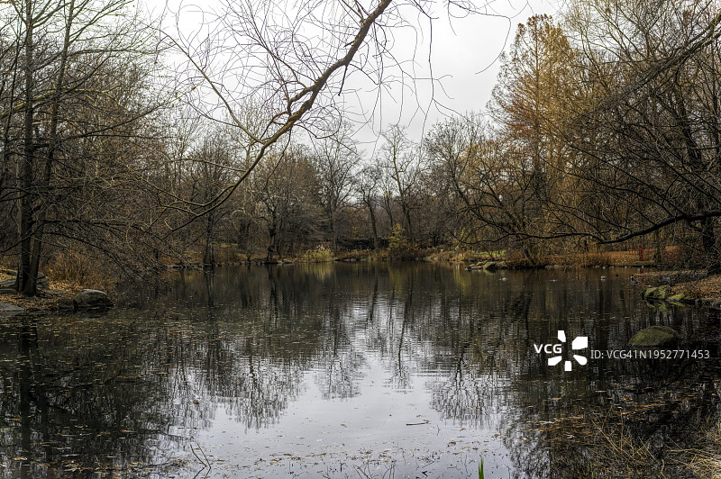 美国纽约市森林湖泊风光图片素材
