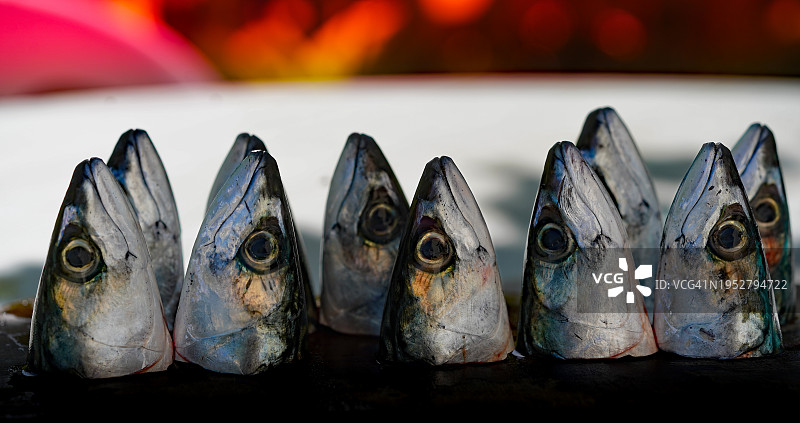 市场上出售的鲭鱼特写图片素材