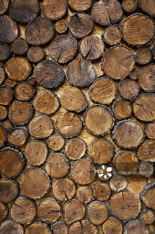 原木的完整框架图图片素材