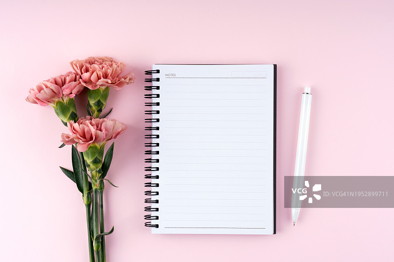 康乃馨与记事本图片素材