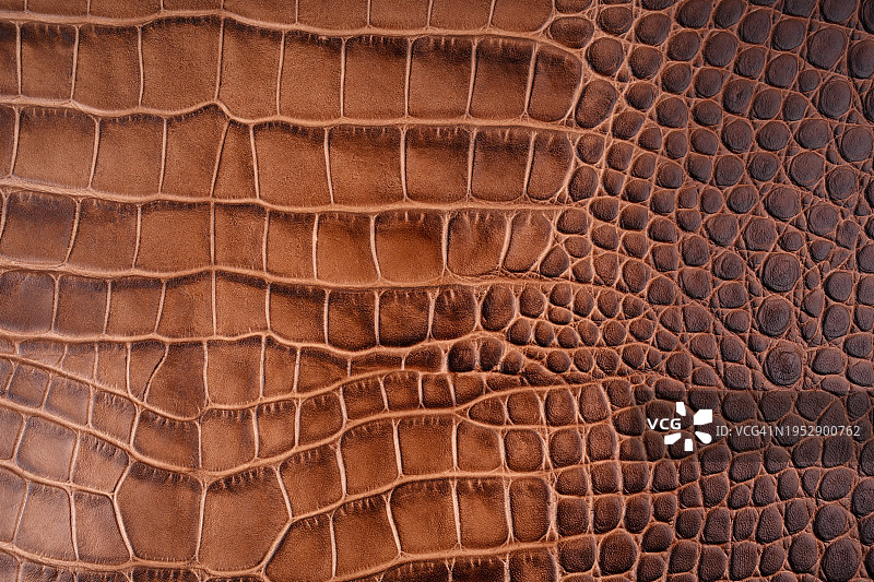 柔软的棕色鳄鱼皮革图片素材