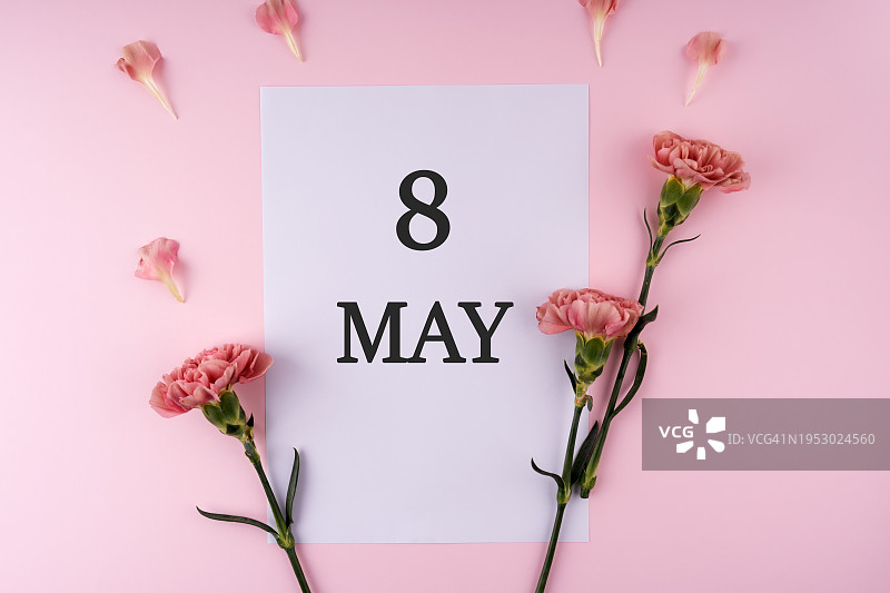 5月8日胜利日和康乃馨花朵图片素材