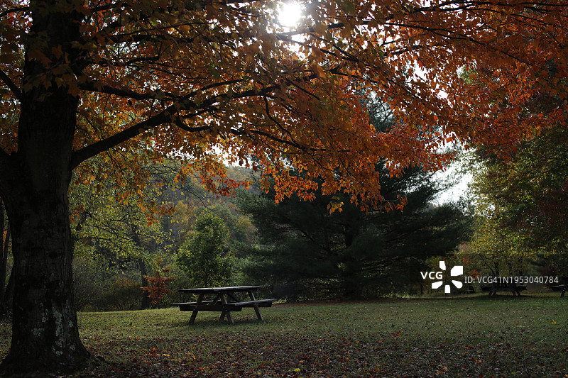 美国宾夕法尼亚州公园的秋景图片素材