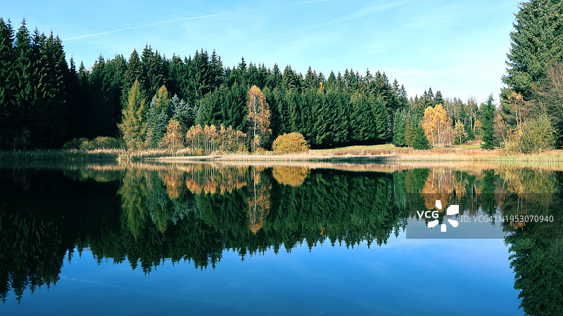 森林里的湖对着天空的风景图片素材