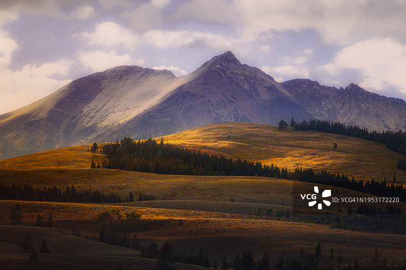 黄石国家公园的电峰图片素材