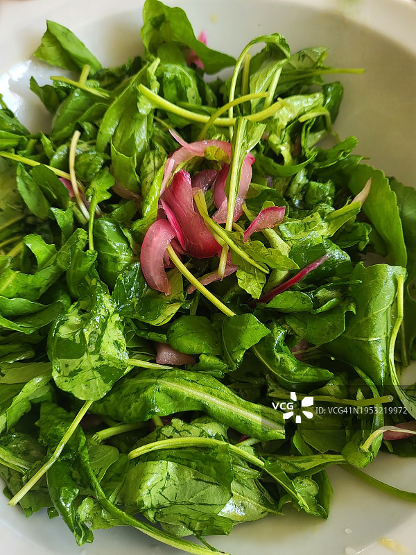 芝麻菜沙拉图片素材