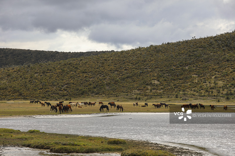 对着天空的风景图片素材