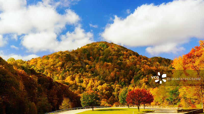 美国北卡罗来纳州阿什维尔秋季树木风景图片素材