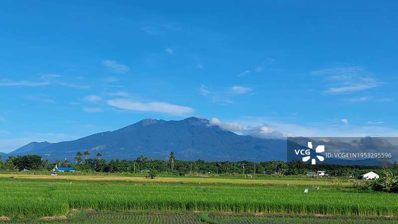 菲律宾蓝天下的田野景色图片素材
