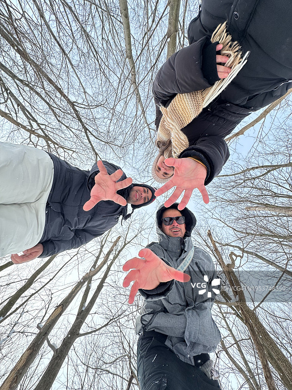 森林中朋友们仰望天空的低角度视角图片素材