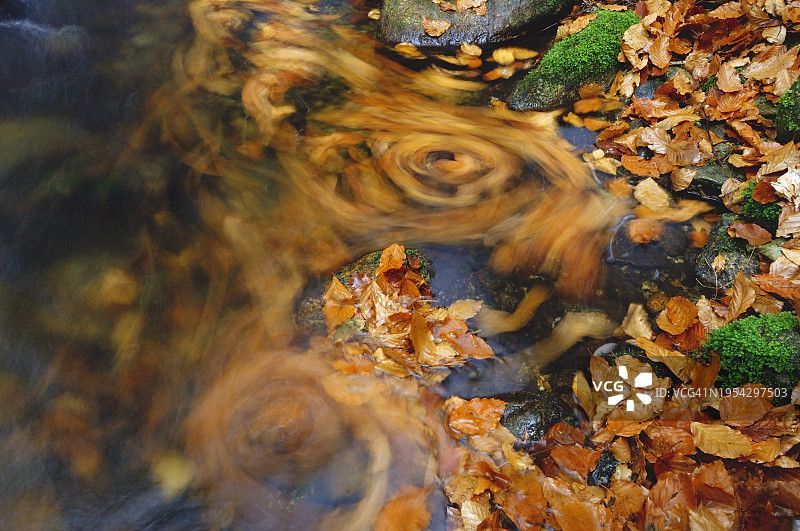 德国巴伐利亚森林公园秋日小奥厄河水流图片素材