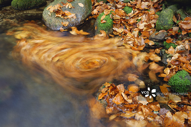 德国巴伐利亚森林公园秋日小奥厄河水流图片素材