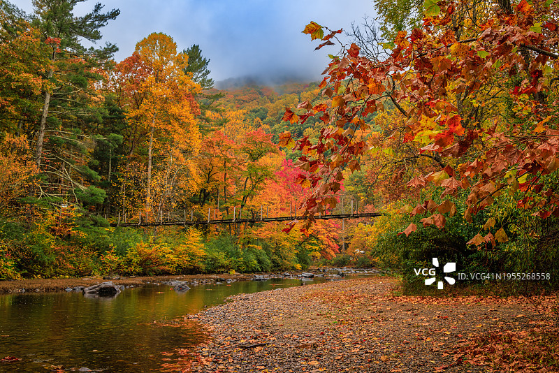 秋季莫里河上的吊桥，戈申帕斯自然保护区图片素材