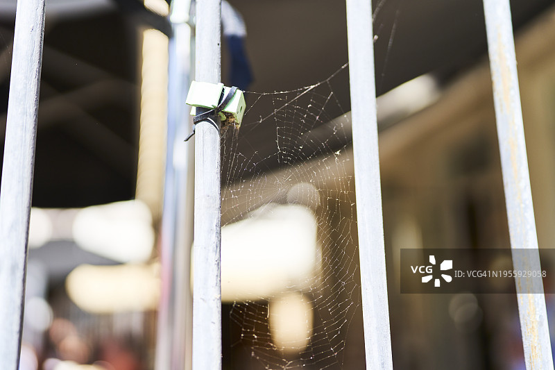 阳台金属扶手上的蜘蛛网（仰视正面视角）图片素材