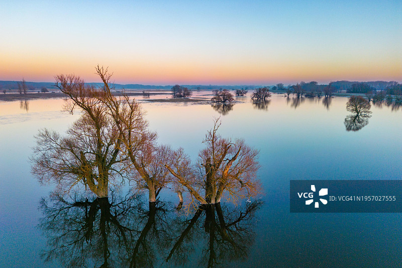 德国勃兰登堡奥得河畔盖斯特比泽沼泽冬季洪水航拍：树木和奥得河沿岸洪泛区的淹没草地图片素材