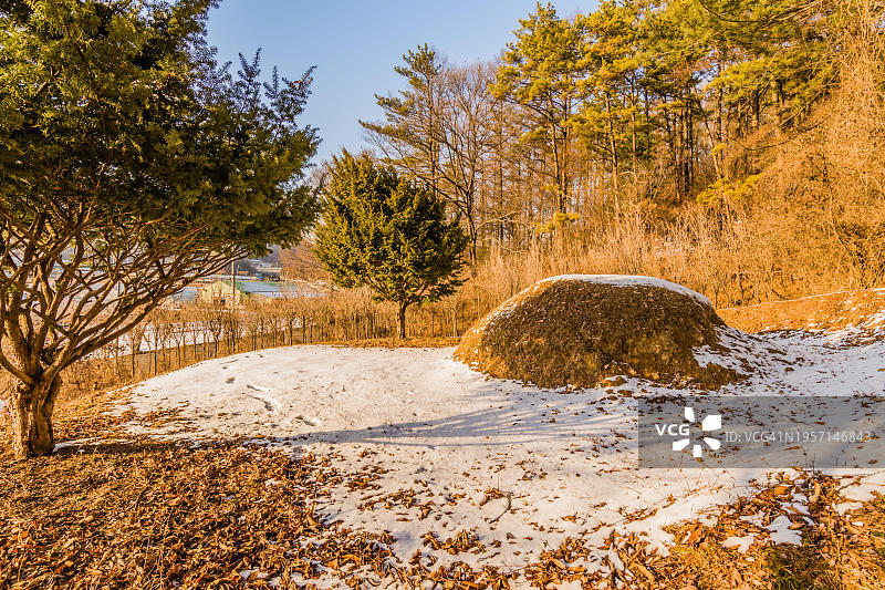 韩国林地中未标记的坟堆冬季景观图片素材