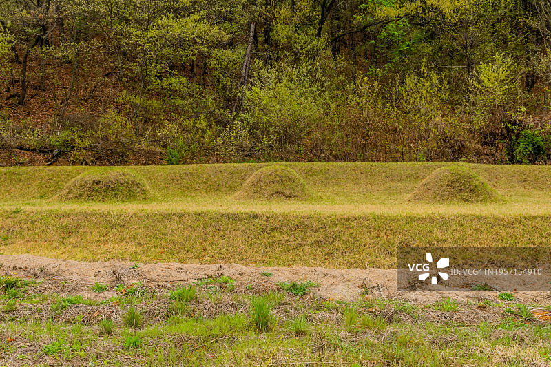 韩国树木覆盖山脚下三个无标记墓葬土丘图片素材