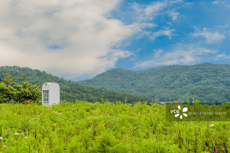 韩国绿色草地上的白色电话亭图片素材