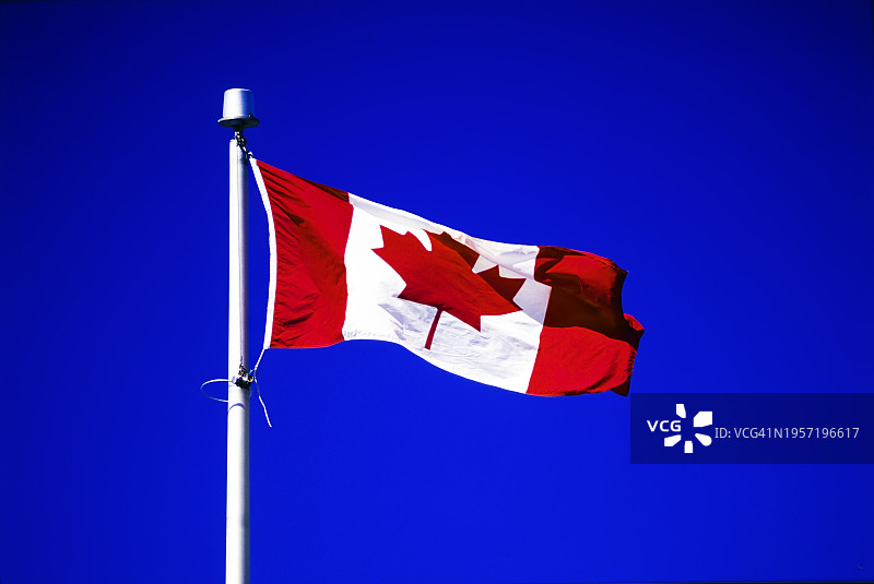 深蓝色天空下的加拿大国旗图片素材