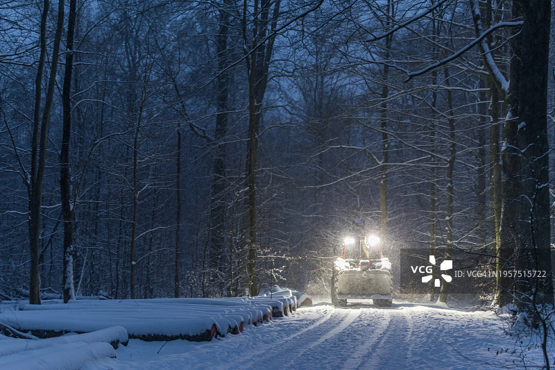 黄昏时分在雪林中工作的拖拉机图片素材