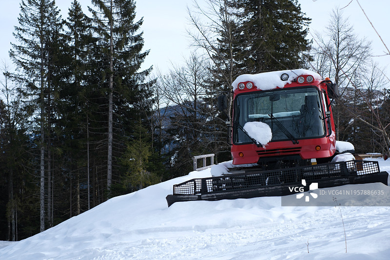 雪猫，冬季景观图片素材