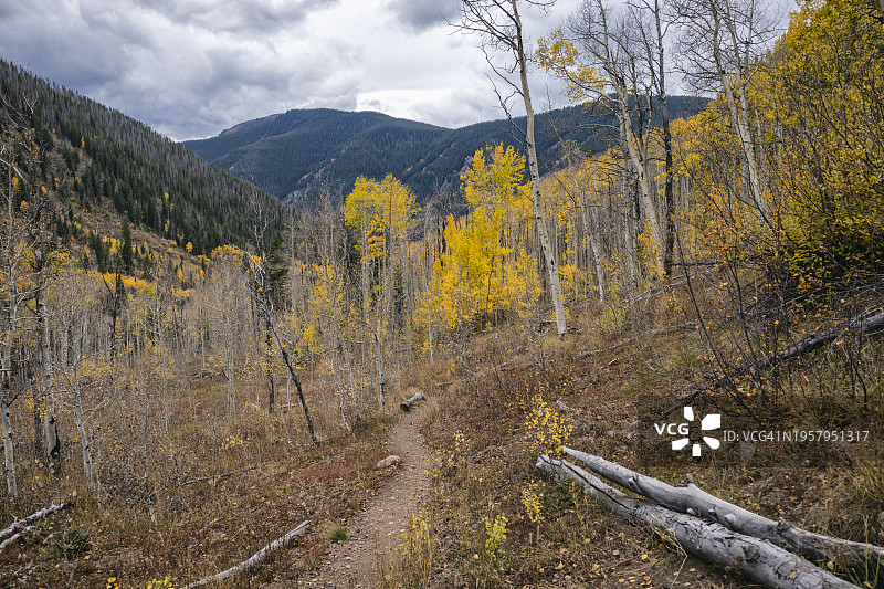 科罗拉多州雄鹰巢穴荒野的秋季景观图片素材