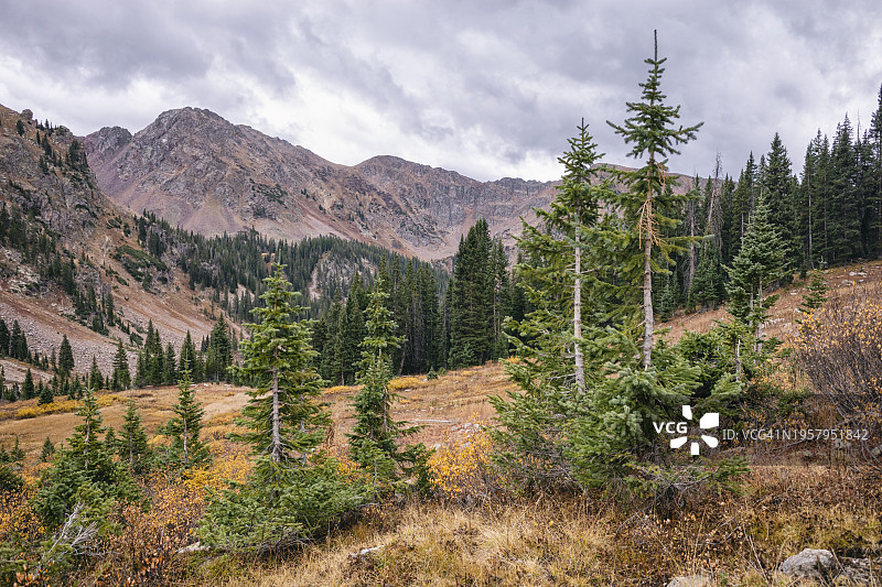 科罗拉多州鹰巢荒野的风景图片素材