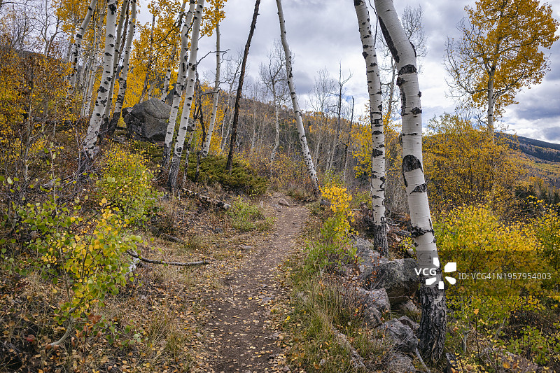 科罗拉多州雄鹰巢穴荒野的秋季景观图片素材