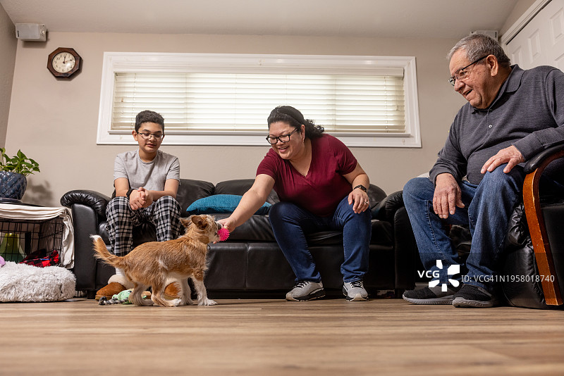 多代家庭在家与小狗玩耍图片素材