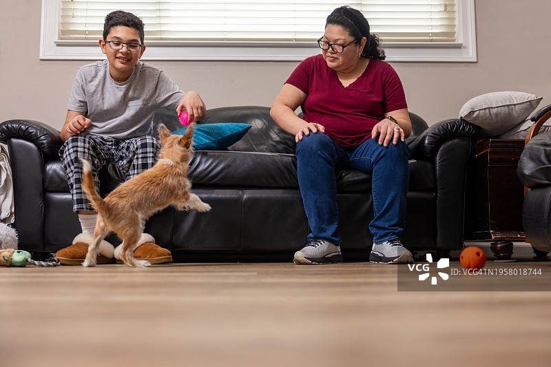 母子在家与小狗玩耍图片素材