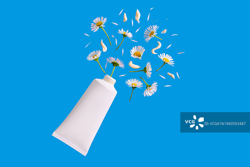 天然有机化妆品：面霜或护手霜与洋甘菊花图片素材