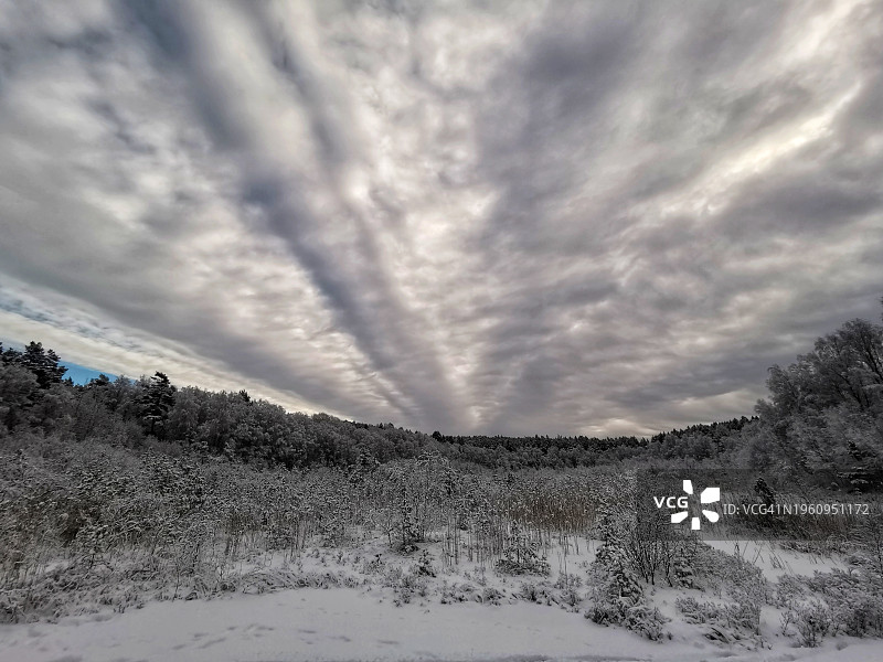 冰冻森林中隐藏湖泊的阴天图片素材