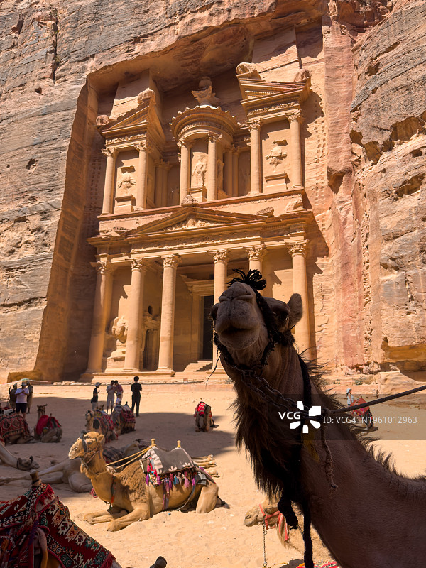 佩特拉古城卡兹尼神殿的骆驼图片素材