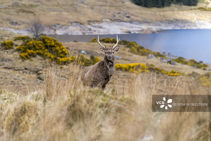 克诺伊达特半岛图片素材