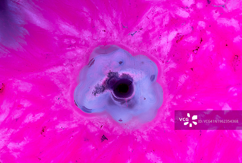 白色背景上绿色玛瑙石矿物表面的特写拍摄图片素材