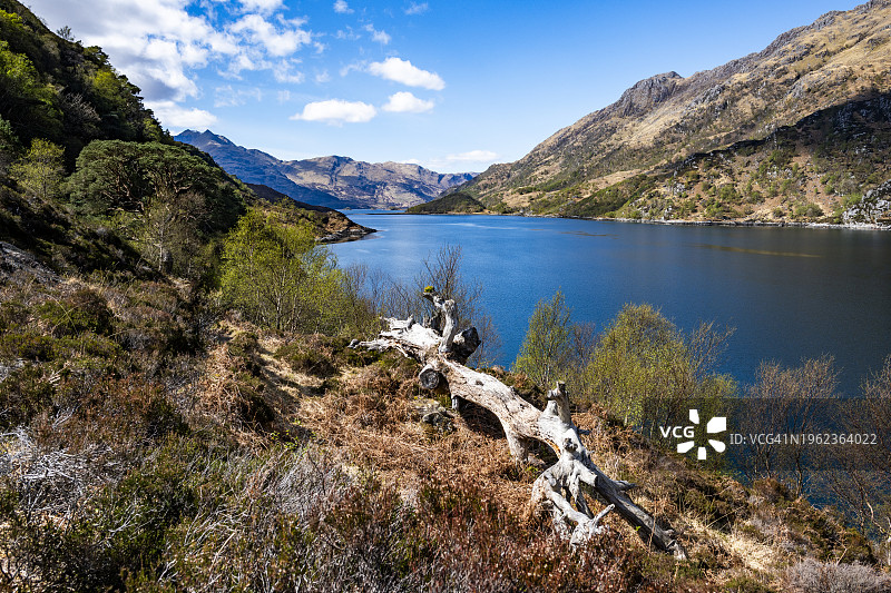 克诺伊达特半岛图片素材