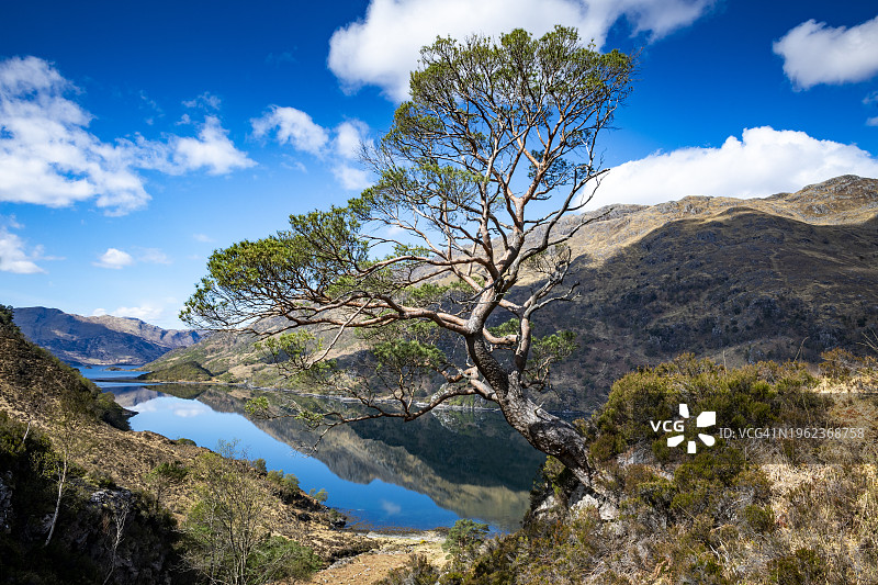 克诺伊达特半岛图片素材