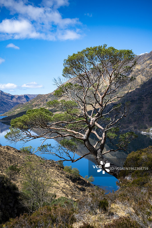 克诺伊达特半岛图片素材