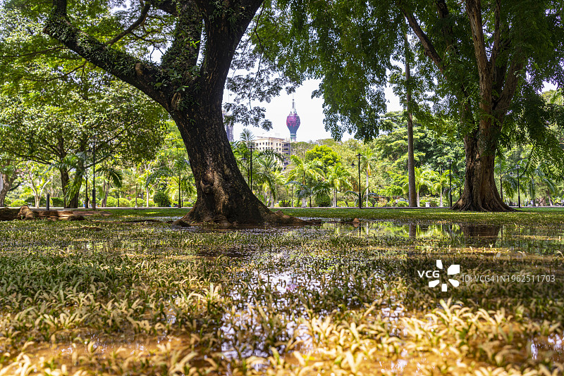 斯里兰卡科伦坡维哈拉玛哈德维公园景观图片素材