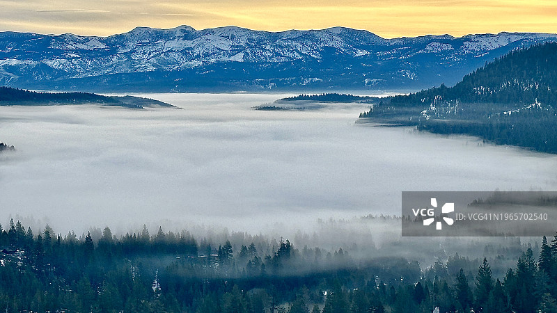 唐纳湖和特拉基上空的茫茫云海,以罗斯山为背景,黄色橙色天空的地平线,森林覆盖的山丘升起于浓密的云层之上,树木穿过雾气,从唐纳山口、唐纳峰看到的景色,加利福尼亚图片素材