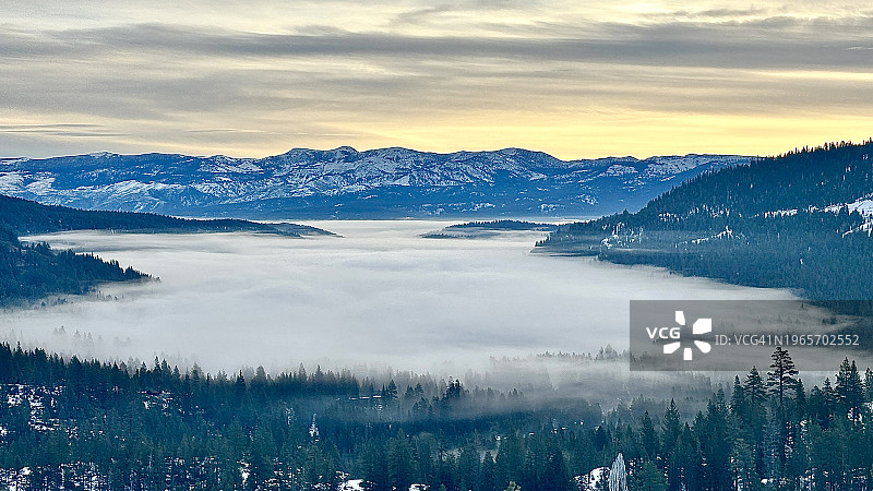 唐纳湖和特拉基上空的茫茫云海，以罗斯山为背景，黄色橙色天空的地平线，森林覆盖的山丘升起于浓密的云层之上，树木穿过雾气，从唐纳山口、唐纳峰看到的景色，加利福尼亚图片素材