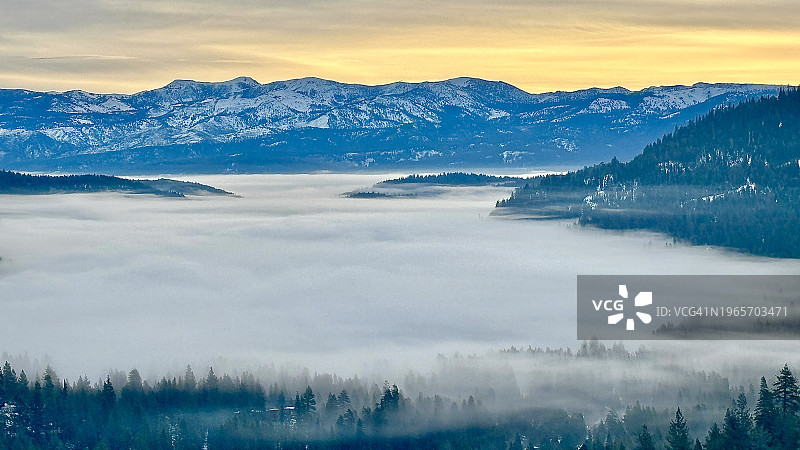 唐纳湖和特拉基上空的茫茫云海，以罗斯山为背景，黄色橙色天空的地平线，森林覆盖的山丘升起于浓密的云层之上，树木穿过雾气，从唐纳山口、唐纳峰看到的景色，加利福尼亚图片素材