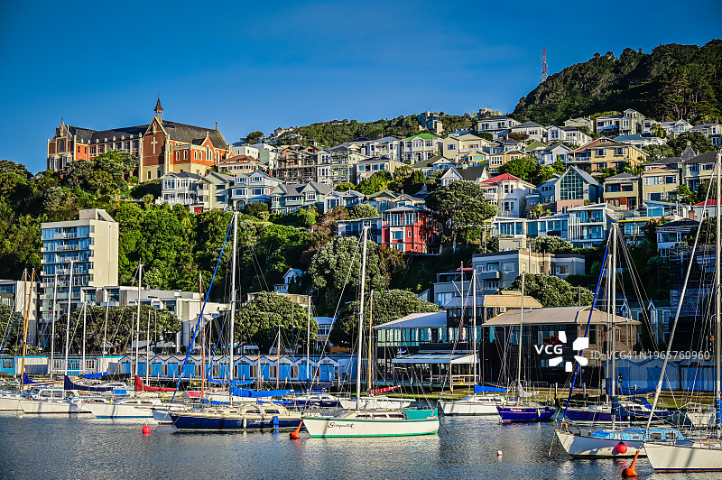 惠灵顿海港沿岸的维多利亚山坡房屋 - 新西兰惠灵顿图片素材