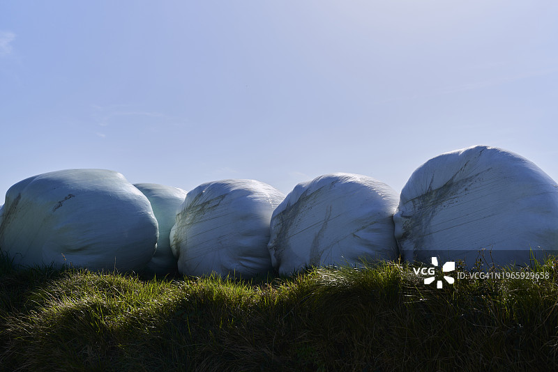 浅蓝色青贮饲料袋，沾染污渍并堆放在晴朗蓝天背景的草地上图片素材