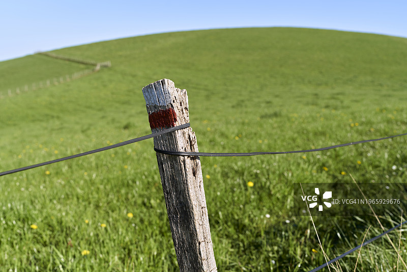 带木棍的铁丝网栅栏和绿草覆盖的草地图片素材