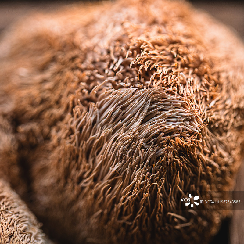 木箱里的干蘑菇图片素材