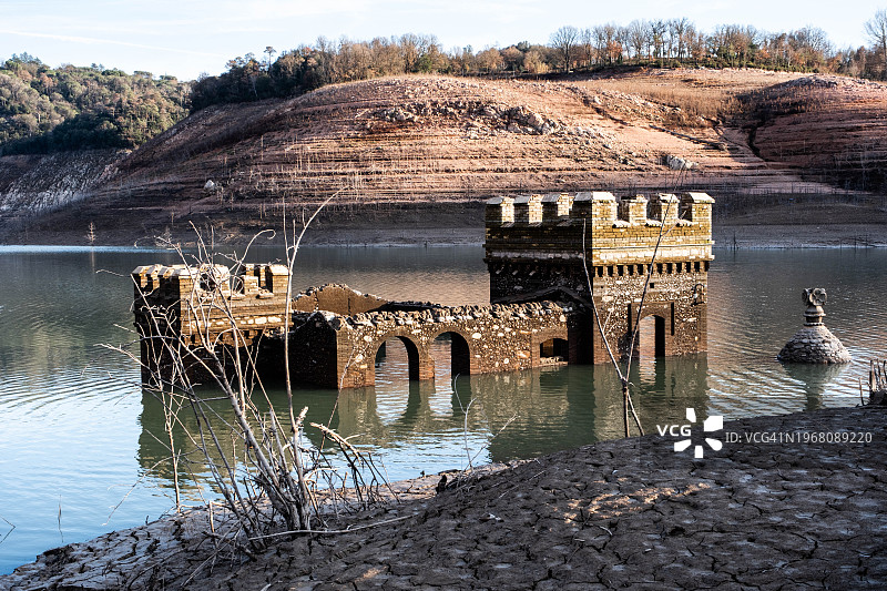 绍沼泽图片素材